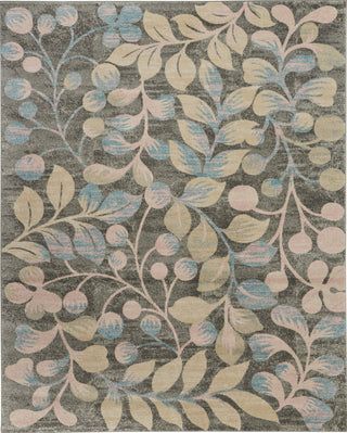 Tranquil TRA03 Grey/Beige Area Rug by Nourison Main Image