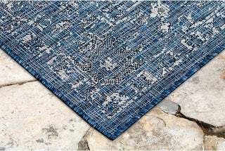 Trans Ocean Carmel 8418/33 Vintage Floral Navy Area Rug by Liora Manne 