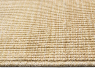 Trans Ocean Aruba 7535/22 Ombre Sisal Area Rug Pile Image