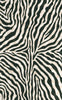 Trans Ocean Visions I Zebra Black by Liora Manne 
