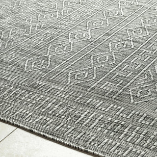 Livabliss Terrace TRC-2302 Area Rug