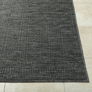 Livabliss Terrace TRC-2303 Area Rug