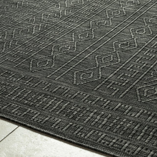 Livabliss Terrace TRC-2303 Area Rug