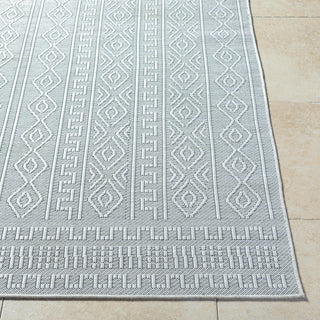 Livabliss Terrace TRC-2310 Area Rug