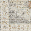 Nourison Traditional Home TRH01 Grey Area Rug Swatch Image