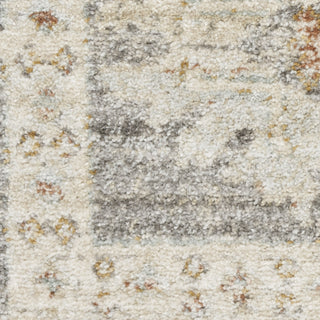 Nourison Traditional Home TRH01 Grey Area Rug Swatch Image