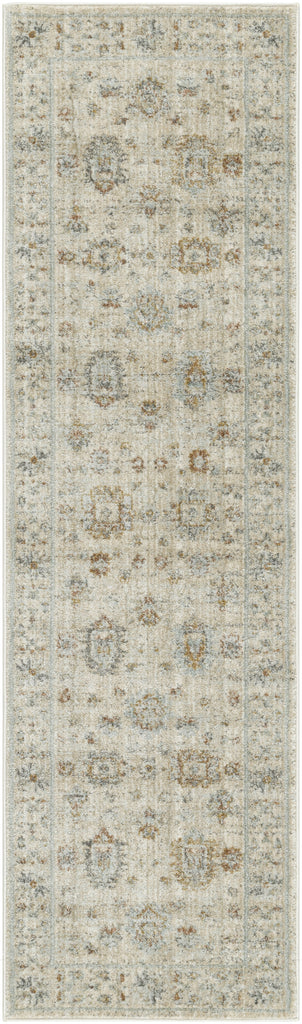 Nourison Traditional Home TRH01 Ivory Beige Area Rug main image