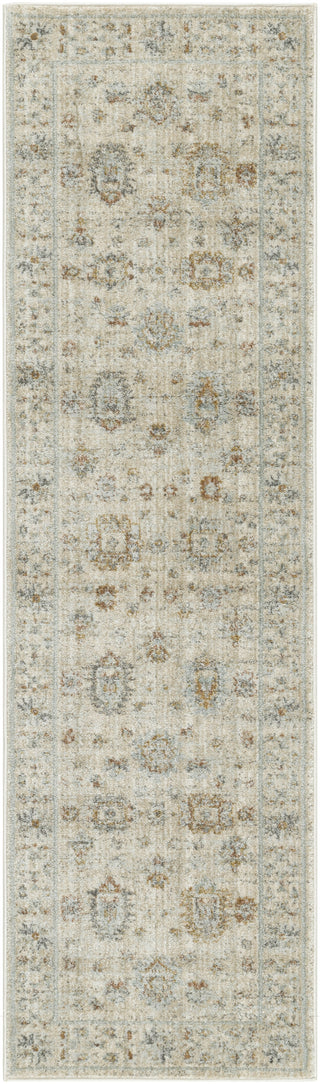 Nourison Traditional Home TRH01 Ivory Beige Area Rug main image