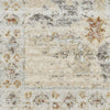 Nourison Traditional Home TRH01 Ivory Beige Area Rug Swatch Image