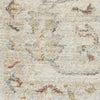 Nourison Traditional Home TRH02 Beige Area Rug Swatch Image
