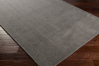 Surya Taraash TRH-2304 Area Rug Main