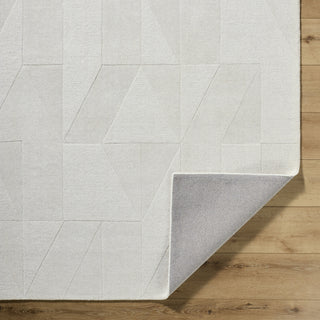 Livabliss Taraash TRH-2307 Ivory Area Rug Pile