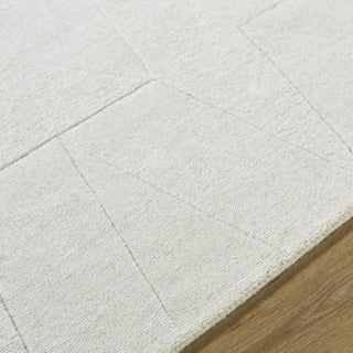 Livabliss Taraash TRH-2307 Ivory Area Rug Detail