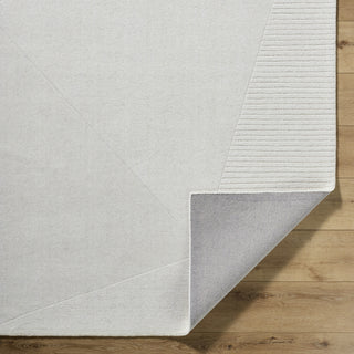 Livabliss Taraash TRH-2308 Ivory Area Rug Pile