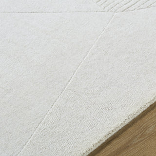 Livabliss Taraash TRH-2308 Ivory Area Rug Detail