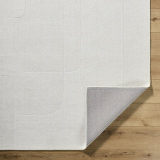 Livabliss Taraash TRH-2309 Ivory Area Rug Pile