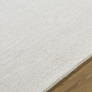 Livabliss Taraash TRH-2309 Ivory Area Rug Detail