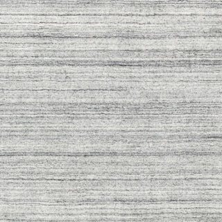 Surya Torino TRN-2302 Area Rug Swatch
