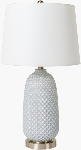 Surya Tory TRY-001 Gray Lamp main image