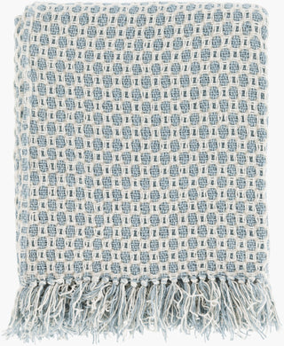 Livabliss Trestle TSL-2001 Light Blue Throw main image