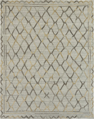 Ancient Boundaries Tunis TUN-09 Natural / Browns Area Rug