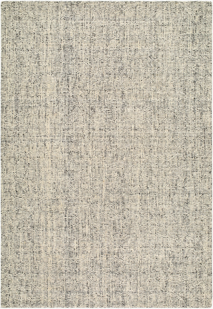 Surya Toronto TTN-2304 Area Rug main image