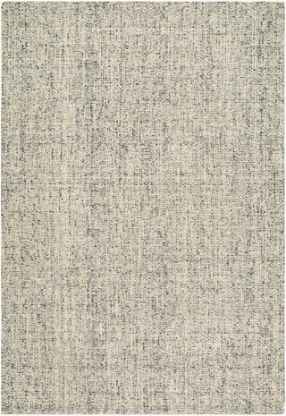 Surya Toronto TTN-2304 Area Rug main image