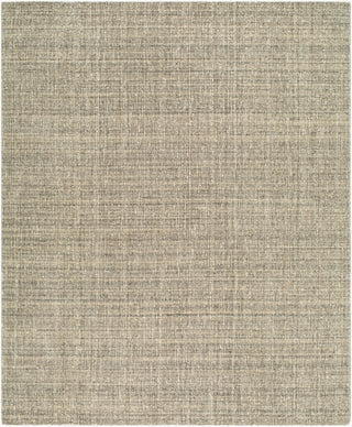Surya Toronto TTN-2306 Area Rug main image