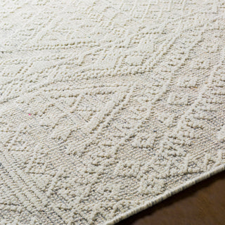 Surya Tunus TUN-2306 Area Rug Detail