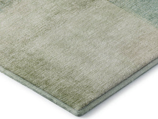 Dalyn Trevi TV10 Fern Machine Washable Area Rug