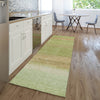 Dalyn Trevi TV2 Aloe Machine Washable Area Rug