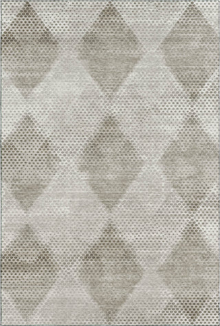 Dalyn Trevi TV4 Gray Machine Washable Area Rug