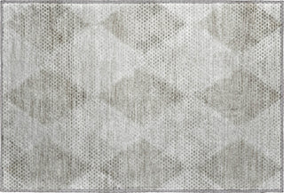 Dalyn Trevi TV4 Gray Machine Washable Area Rug