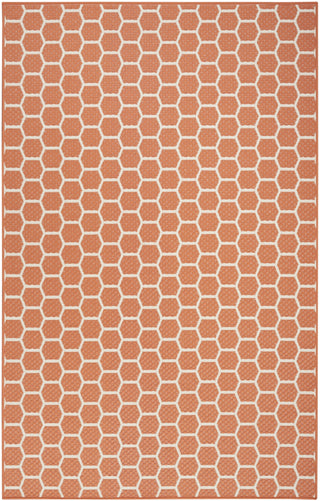 Nourison Twist Reversible TWS01 Coral Machine Washable Area Rug main image