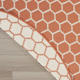 Nourison Twist Reversible TWS01 Coral Machine Washable Area Rug Corner Image