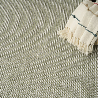 Nourison Textured Home TXH01 Ivory Green Area Rug Corner Image