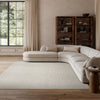 Nourison Textured Home TXH01 Ivory Mocha Area Rug 