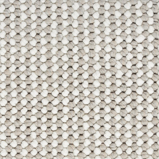 Nourison Textured Home TXH01 Ivory Mocha Area Rug 