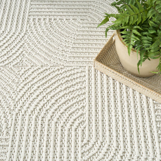 Nourison Textured Home TXH02 Ivory Area Rug Texture Image