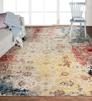 K2 Theory TY-680 Vintage Multi Area Rug Lifestyle Image