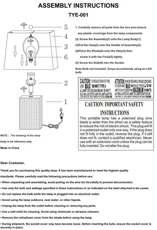 Surya Taboye TYE-001 Lamp Assembly