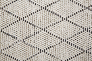 Feizy Thayer 8648F Ivory/Charcoal Area Rug by Thom Filicia