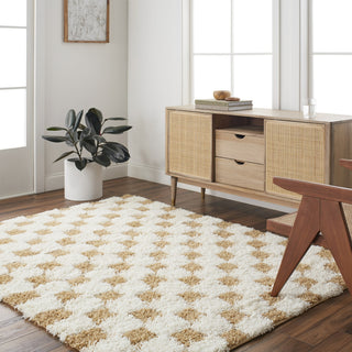 Livabliss Urban Shag USG-2346 Area Rug