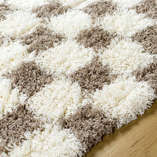 Livabliss Urban Shag USG-2348 Area Rug