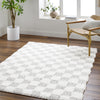 Surya Urban Shag USG-2349 Area Rug Room Scene Feature