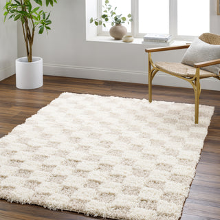 Surya Urban Shag USG-2350 Area Rug Room Scene Feature