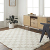 Livabliss Urban Shag USG-2350 Area Rug