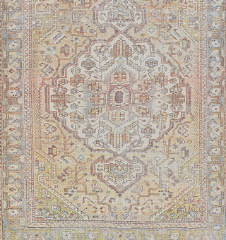 Couristan Imperial Kirman Apricot Area Rug main image