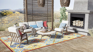 Bashian Veranda V107-VR106 Area Rug Lifestyle Image Feature