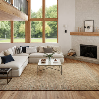 Nourison Vail VAI03 Beige/Multi Area Rug 